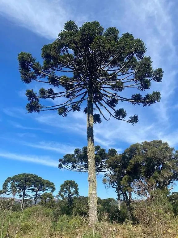 Recanto Luz Da Serra Urubici Brazil