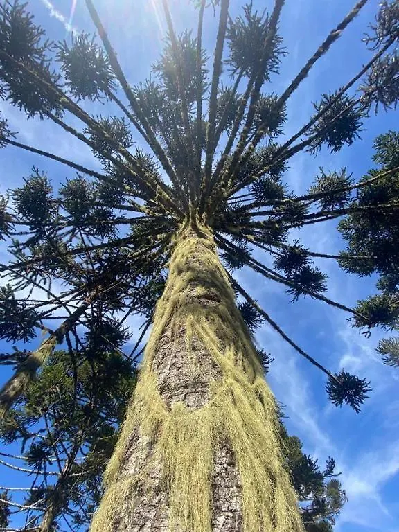 Recanto Luz Da Serra Urubici